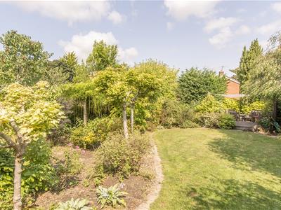 Garden Photo 2